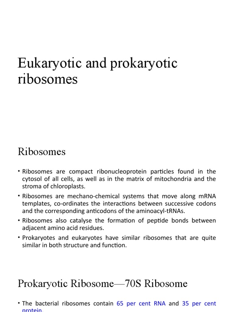 Eukaryotic and Prokaryotic Ribosomes | PDF | Ribosome | Ribosomal Rna