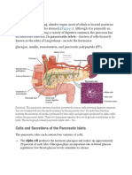 Pancreas: Cells and Secretions of The Pancreatic Islets