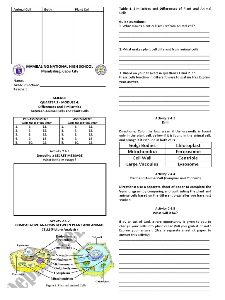 Grade 7 Answer Sheet Q2M4 PDF Eukaryotes Cell (Biology)