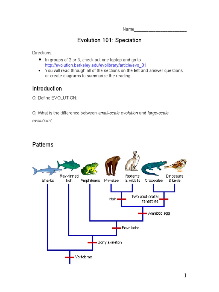 Evolution Study Guide for Students | PDF