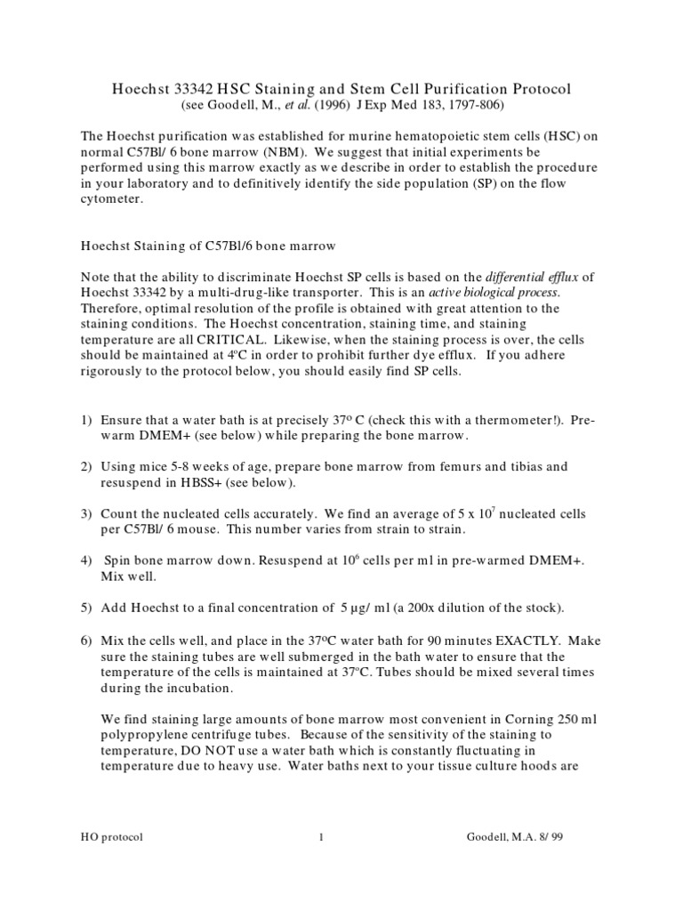 Hoechst 33342 HSC Staining and Stem Cell Purification Protocol PDF