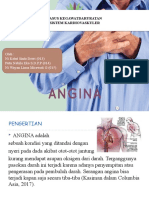 ANGINA Fix