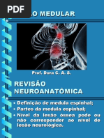8 - LESÃO MEDULAR
