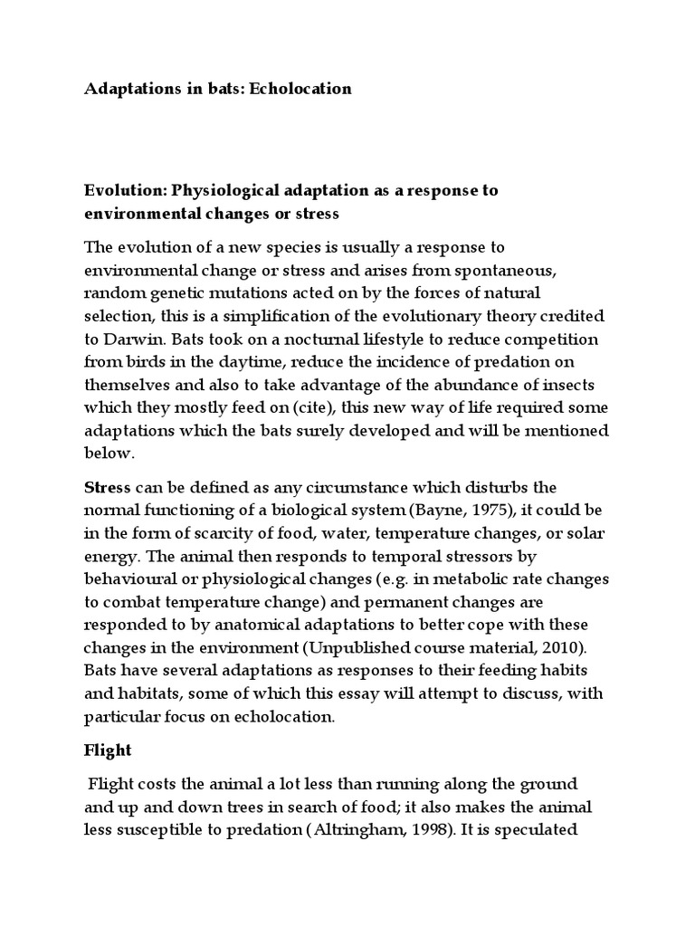 Echolocation in Bats PDF Bat Eye