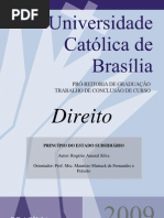Principio do Estado Subsidiario