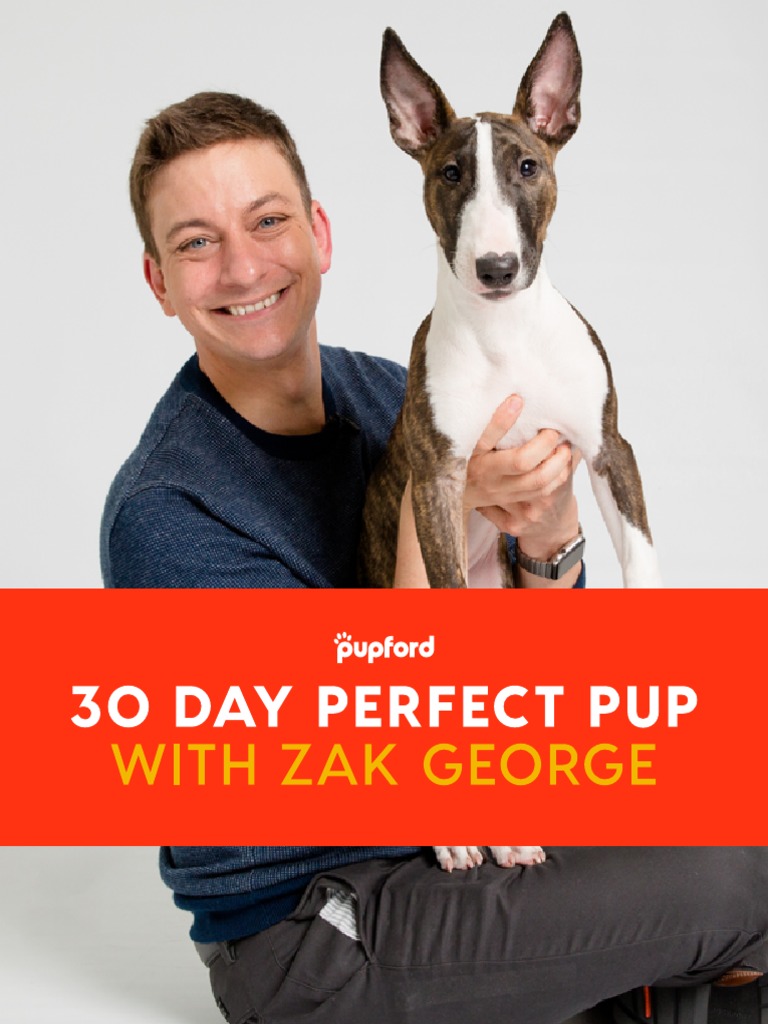 30 Day Perfect Pup With Zak PDF Dog Training Leash