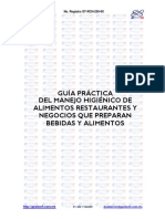 Manual Guia_practica Ver BETA (2)