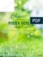 Chaves Para Ativar o Poder Oculto Das Ervas - Bruno J. Gimenes e Patricia Candido