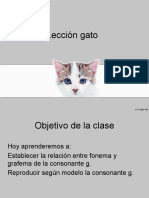 Leccion GATO 1