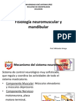 Fisiologia Neuromuscular y Oclusal Neuromuscular