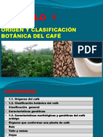 Origen y Clasificación Botánica Del Café