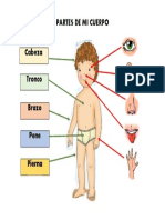 Partes de Mi Cuerpo