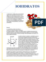 Trabjo Bioquimica