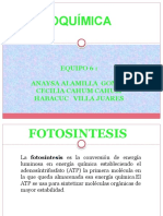 FOTOSINTESIS