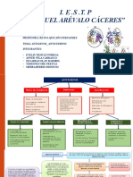 Tarea de Inmunizacion Mapa Conceptual