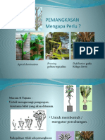 Pemangkasan