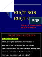 Ru T Non - Ruot Gia