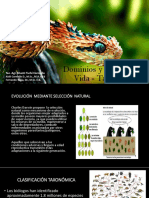 Bio-011 Dominios - Reinos y Taxonomia. Revisado