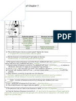 Female Reproductive System Worksheet - Answers | PDF