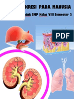 Bab 9 Sistem Ekskresi Manusia (1)