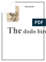 Dodo Bird: Research For