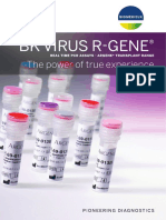 BK Virus R-Gene: The Power of True Experience