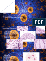 atlas histologia 4