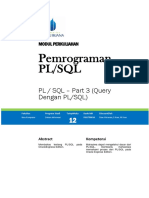 Modul Pemrograman PL SQL (TM12) - PLSQL Part 3