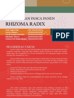 Pengolahan Pasca Panen Rhizoma Radix