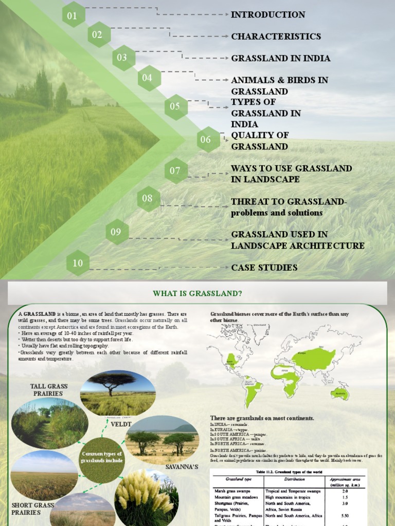 Grassland Report PDF Grassland Prairie