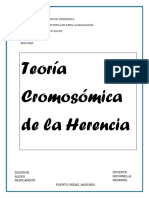 La Teoría Cromosómica de La Herencia