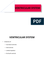 Ventricular System and CSF