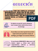 Proceso neuromuscular de la deglución