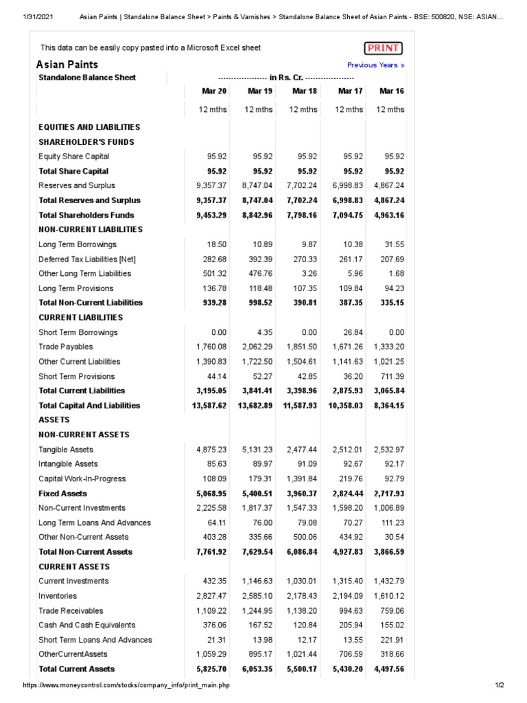 BALANCE SHEET OF ASIAN PAINTS 2024 25 PDF FREE DOWNLOAD INDIA visual data 8