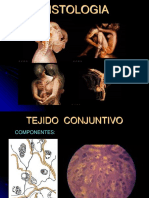 1.1 Tejido Conjuntivo Conectivo