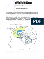 Jornada da mente extraordinária - Aula 03