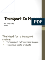 Human Transport