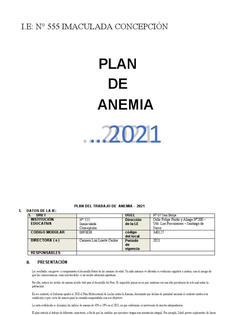 Plan de Trabajo para Combatir Anemia 2021 | PDF | Perú | Educación primaria