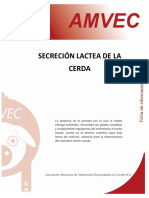 Secreción Lactea de La Cerda: Asociación Mexicana de Veterinarios Especialistas en Cerdos A.C