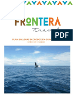 Plan Ballenas - Ecolodge en Guachalito, Nuquí