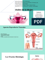 Exposicion de Organos genitales femeninos (2)