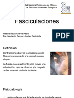 16 Fasciculaciones