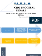 Principios Del Derecho Procesal