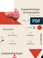 PERCEPCIÓN 