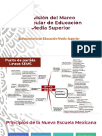 Revision Del Marco Curricular_EMS