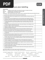 Lesson Plan Labelling