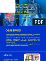 Evaluación Sonográfica de Hígado, Vesícula, Vías