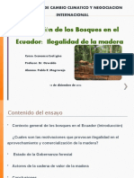 Gestion Bosques.P Mogrovejo