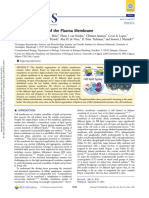 Ingolsson-Marrink - J Am Chem Soc - 2014 - Lipid-Org-Of-Plasma-Membrane