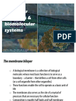Molecular Dynamics & Biomolecular Systems